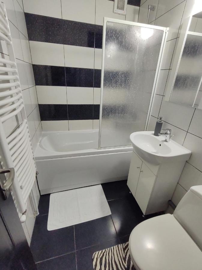Creative Apartment Baia Mare Bagian luar foto