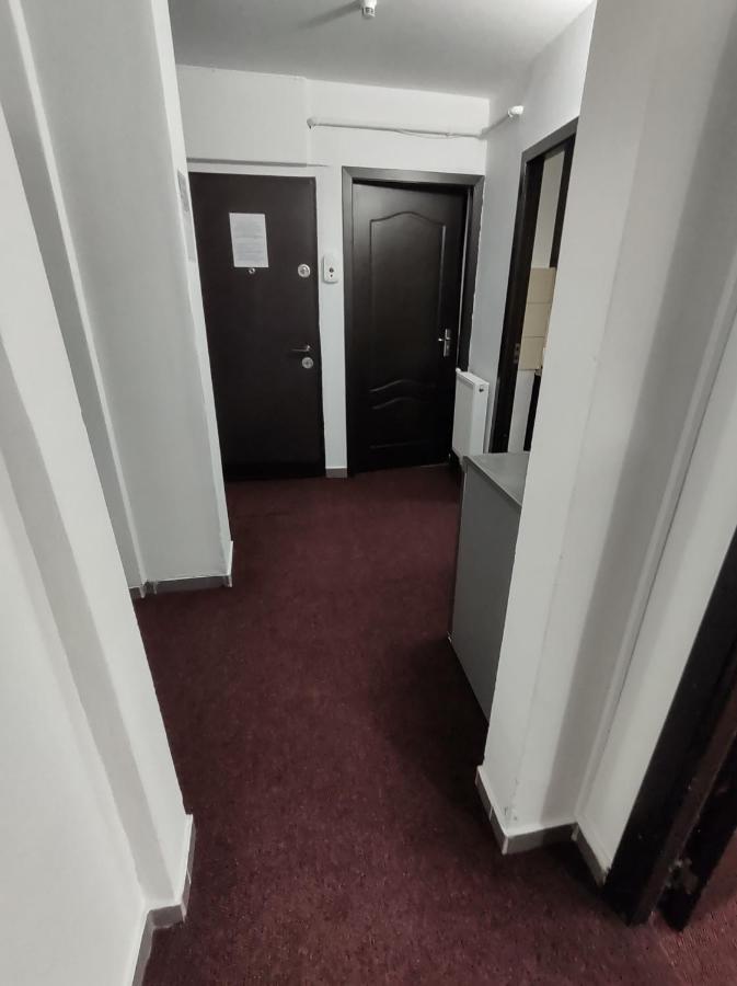Creative Apartment Baia Mare Bagian luar foto