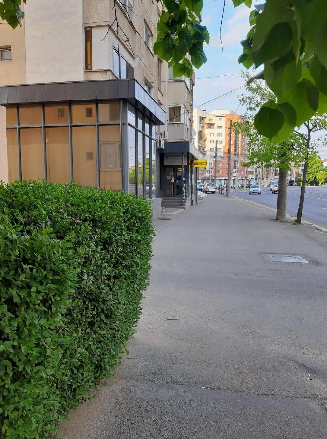 Creative Apartment Baia Mare Bagian luar foto